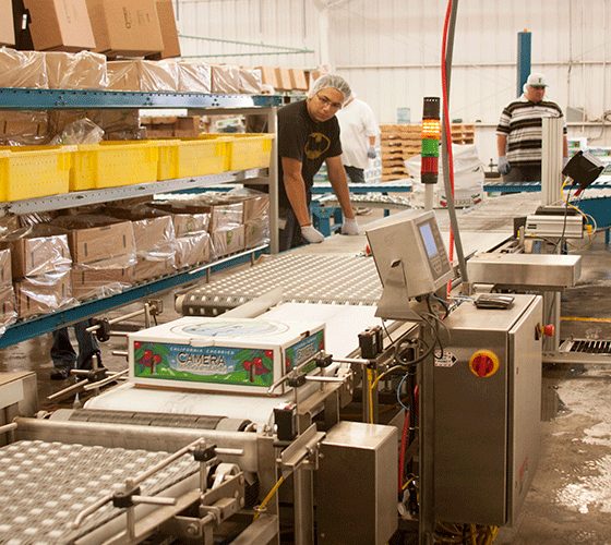 Workers operating machinery on a packaging assembly line in a factory. One worker, wearing a hairnet, is monitoring the items on the conveyor belt and performing scale inspections. Shelves with boxes are in the background, alongside industrial equipment and control panels.
